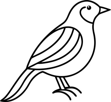 Bird Line 25