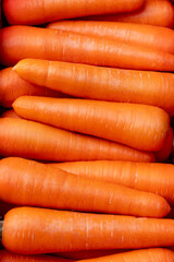 A vibrant collection of freshly harvested orange carrots is displayed in organized rows. The carrots showcase their rich color and smooth texture, highlighting the care taken during cultivation.
