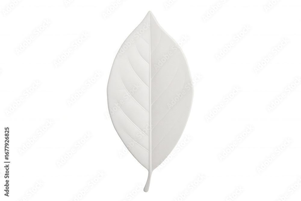 Poster white leaf pattern displaying intricate vein structure, representing botanical purity against clean 