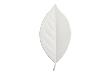 White leaf pattern displaying intricate vein structure, representing botanical purity against clean transparent backdrop