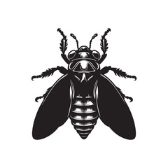 Black Color Cicada Silhouette Vector Illustration, Solid White Background.