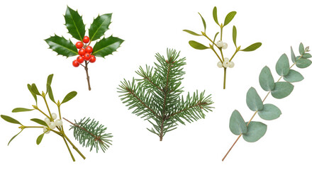 A Collection of Festive Holiday Greenery and Sprigs