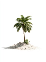 Palm tree on small island of sand