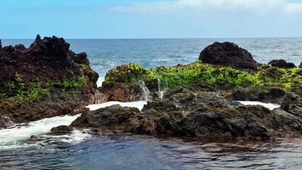 Lush Coastal Rocks Surrounded by Beautiful Ocean Waves, Perfect for Photography and Exploration