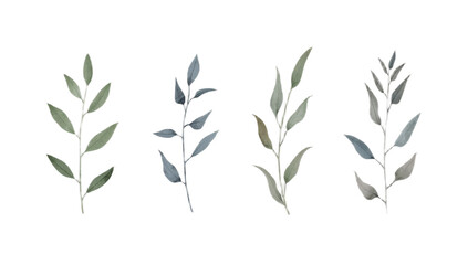A delicate set of four hand-painted watercolor botanical branches with green and blue leaves, isolated for elegant design