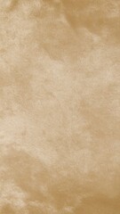 Obraz premium Abstract, muted tan, marbled texture
