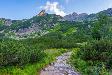 Hiking trail towards Rysy peak at High Tatras national park in S © dudlajzov