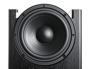 Close-up speaker cone