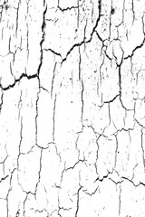 Obraz premium Abstract Distressed White Surface with Black Cracks Texture Vector