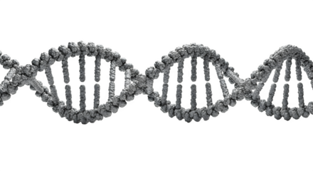 Gray dna molecule double helix isolated on transparent background