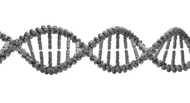 Gray dna molecule double helix isolated on transparent background