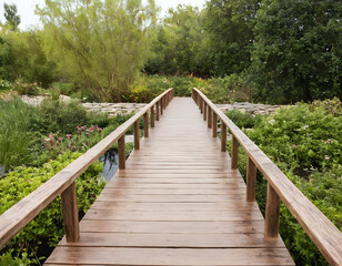 A photo of a wooden garden bridge isolated on a white background.