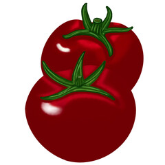 tomato vector illustration