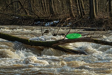 Green frisbee resting on fallen log amidst a rushing river in a wintry forest