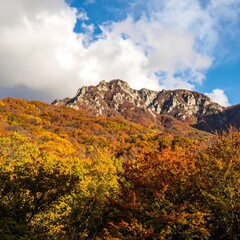 Autumn mountain landscape (3)
