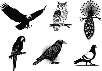 Black silhouette vector illustration of eagle, owl, peacock, parrot, crow, pigeon birds, detailed wildlife drawing design isolated on white background