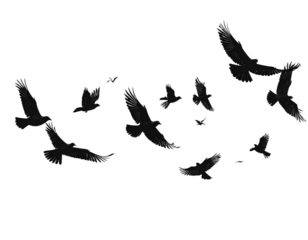 Minimalist Silhouette of Flying Birds, Modern Nature Design, isolated on transparent background PNG