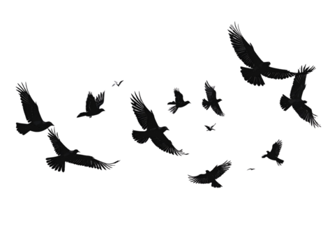 Minimalist Silhouette of Flying Birds, Modern Nature Design, isolated on transparent background PNG