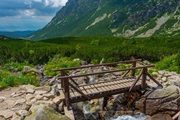 Fototapete Naturpark Hiking trail towards Rysy peak at High Tatras national park in S  © dudlajzov