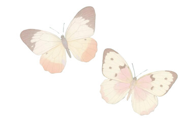 Hand-drawn watercolor butterflies with delicate wings, pastel and soft textures