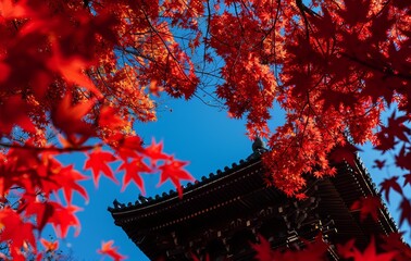 Vibrant red maple leaves frame a traditional Japanese pagoda against a clear blue sky