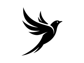 Obraz premium Elegant Black and White Bird Illustration