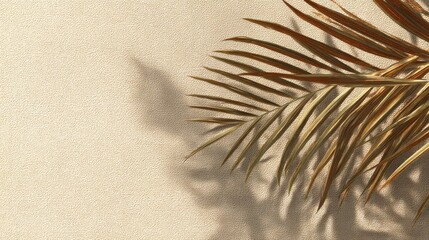Golden palm frond casts shadow on beige surface