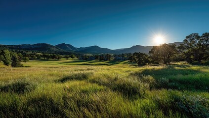 Golden Hour Sun Illuminates Serene Mountain Meadow Landscape.