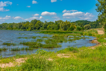 Marshes of Vistula river near Plock, Poland
