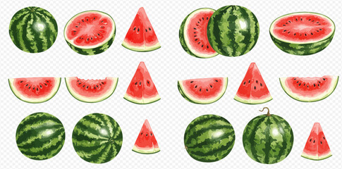 A realistic illustration set of ripe watermelons, showing whole fruit, halves, and juicy red slices in various cuts.