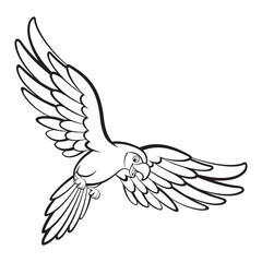 isolated flying parrot in outline vector art