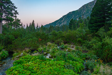 Hiking trail around popradske pleso in Slovakia