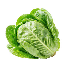 Obraz premium Fresh lettuce, isolated on transparent background