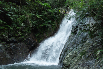 やんばるの森の比地大滝