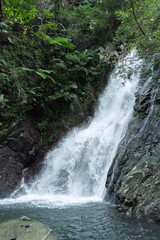 Obraz premium やんばるの森の比地大滝