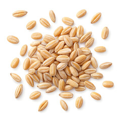 Obraz premium Close-up image of farro grains isolated on a white background, showcasing their oval shape, light brown color,