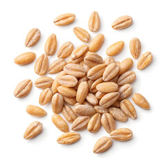 Obraz premium Close-up image of farro grains isolated on a white background, showcasing their oval shape, light brown color,