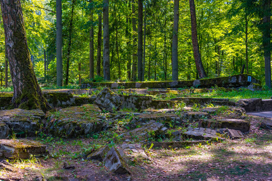 Ruins of wolf��s lair bunkers used by Adolf Hitler during th