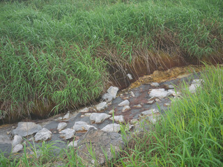 Iturup Volcanic river with cloudy water and brown iron oxide deposits and green grass on the banks...