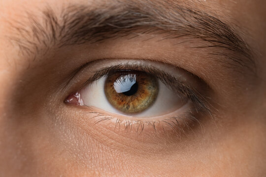 Man with hazel eyes, closeup