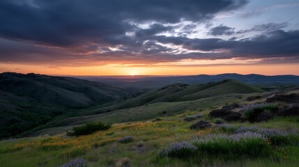 Rolling hills covered in wildflowers under a dramatic sunset sky