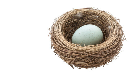 Solitary speckled egg rests peacefully in cozy bird's nest against a stark black background
