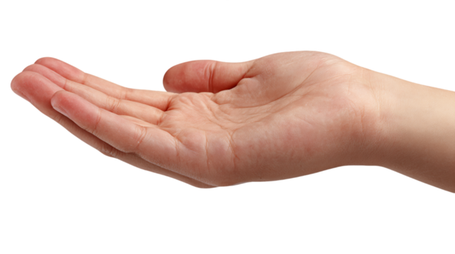 Open Empty Hand Palm Upward Gesture Against Transparent Background, PNG
