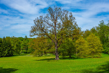 Park at Hluboka nad Vltavou castle in Czech republic