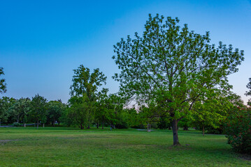 Obraz premium Sunset at Letna park in Prague, Czech republic