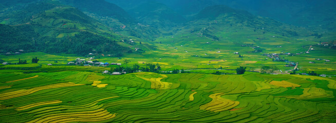 Banner Rice terrace Field Green agriculture landscape. Ecosystem rice paddy field Vietnam farm brook. Banner Golden green rice terraces in tropical Sustainable natural sunrise with copy space