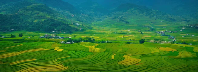 Fototapete Reisfelder Banner Rice terrace Field Green agriculture landscape. Ecosystem rice paddy field Vietnam farm brook. Banner Golden green rice terraces in tropical Sustainable natural sunrise with copy space  © aFotostock