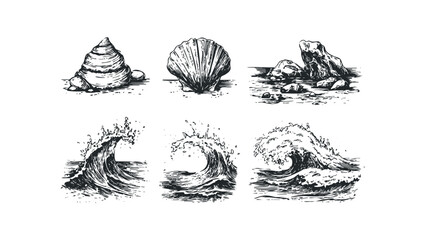 Collection of Seashells and Crashing Ocean Waves. Vector hand drawn illustration