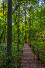 Part of Bialowieza national park with the highest level of restr