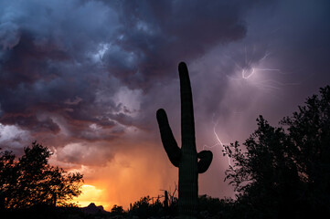 Saguaro Cactus and lightning at sunset with colorful clouds